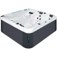 Passion Spas Euphoria Mighty Wave (ID: 133)