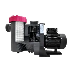 Pompa basenowa Speck BWT Eurostar HF 10-M (ID: 92)